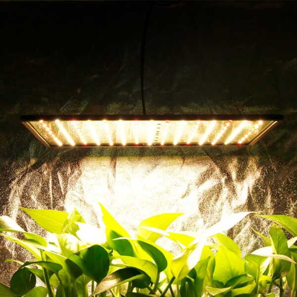 Ultra Light Full Spectrum Hydroponics Lamp - Image 6