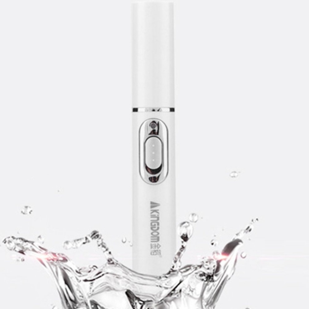 Portable Anti-Acne Laser Pen