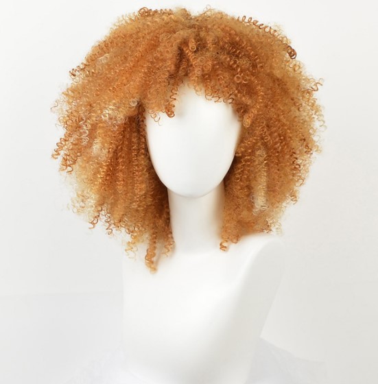 Afro Curly Synthetic Hai Wig