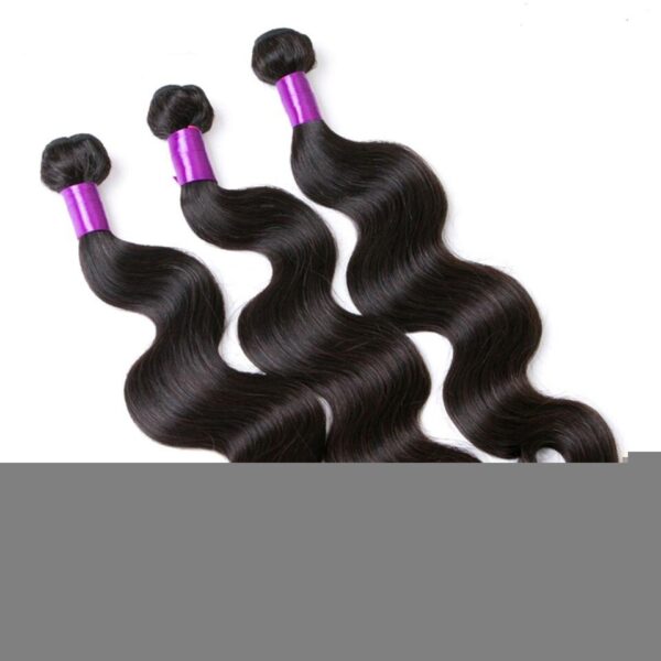 Body Wave Bundles with Closure - Image 5