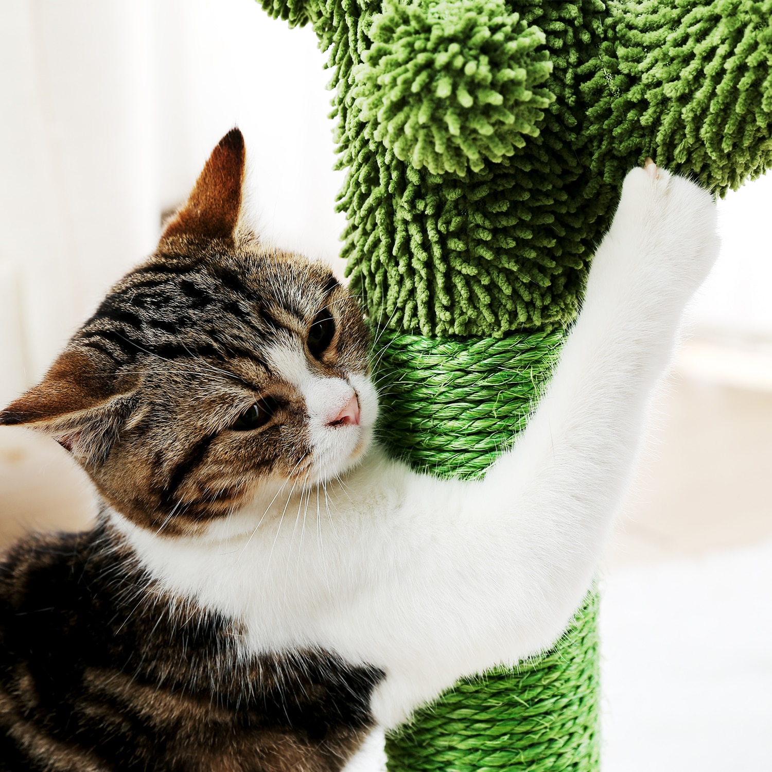 Cactus Shaped Cat Scratching Post