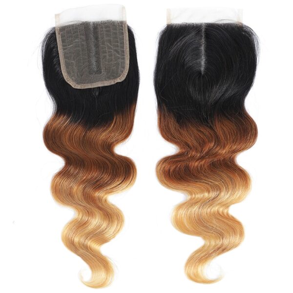 Ombre Brazilian Body Wave Hair Bundles - Image 6