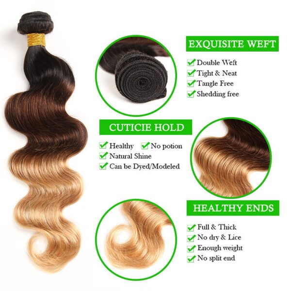 Ombre Brazilian Body Wave Hair Bundles - Image 5