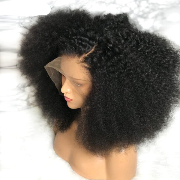 Women's Afro Curly Wig - Image 3