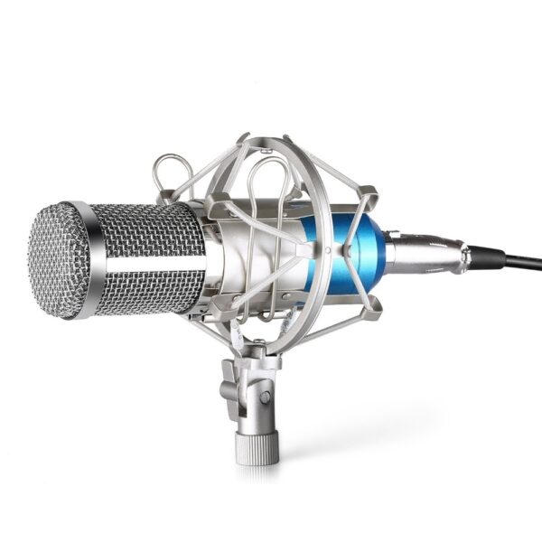 Professional Condenser Microphone Kit