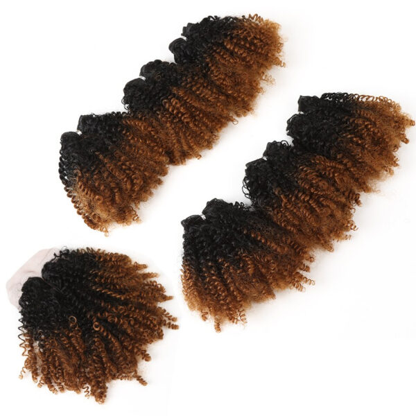 Ombre Kinky Curly Synthetic Hair Extensions 7 pcs Set