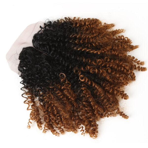 Ombre Kinky Curly Synthetic Hair Extensions 7 pcs Set - Image 7