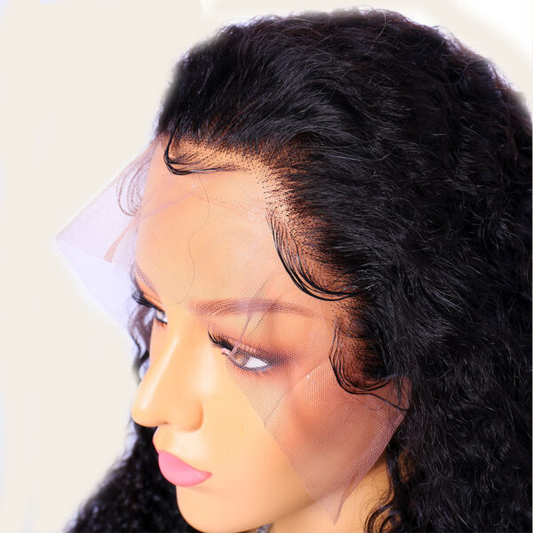 Curly Human Hair Wig - Image 5