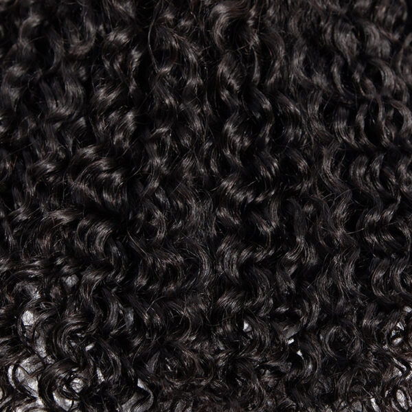 Curly Human Hair Wig - Image 3