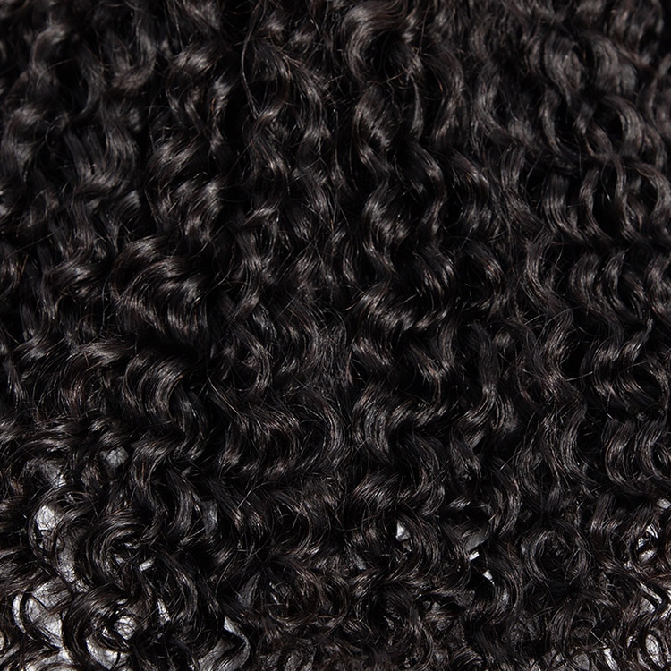 Curly Human Hair Wig