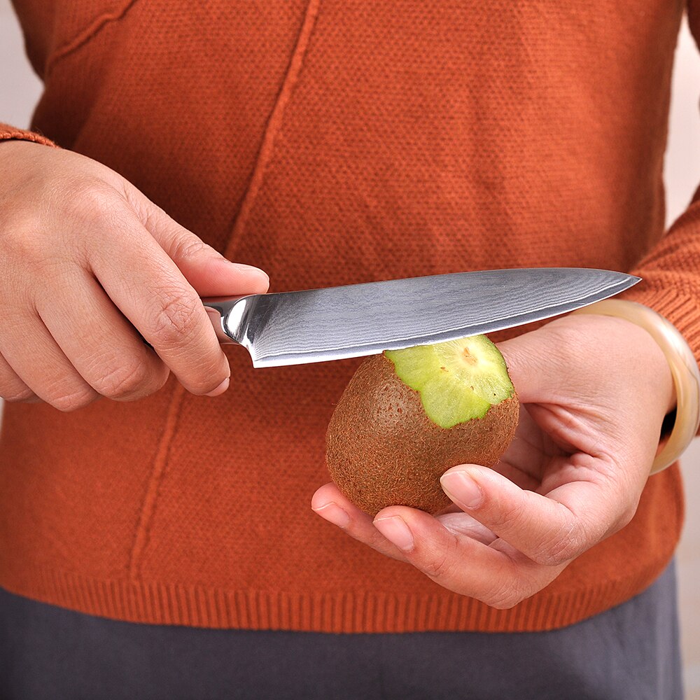 Damascus Steel Japanese Chef Knife