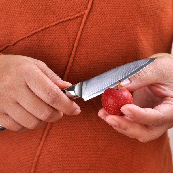 Damascus Steel Fruit Paring Knife - Image 4