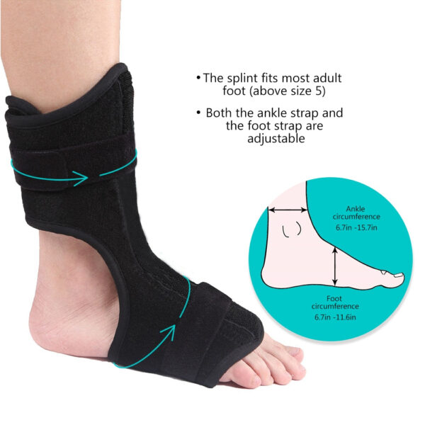 Ankle Support With Straps - Image 5