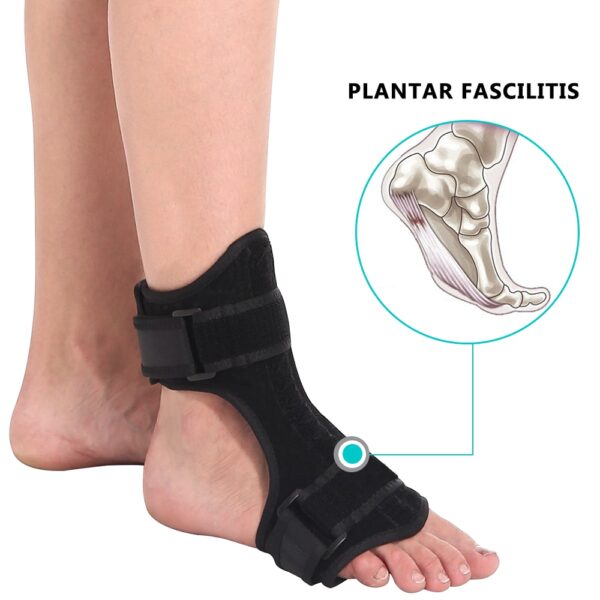 Ankle Support With Straps - Image 3