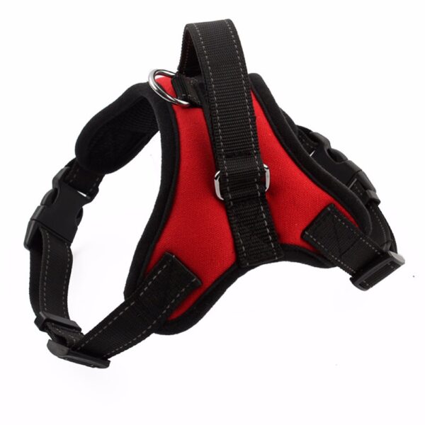 Soft Adjustable Dog Harness - Image 8