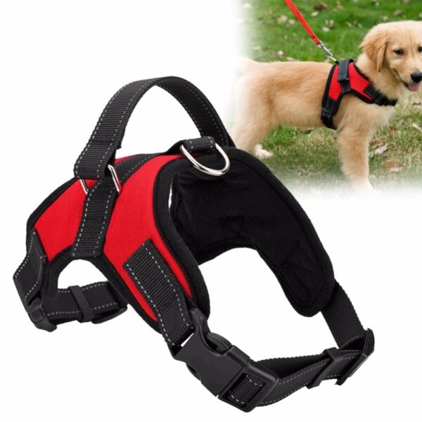 Soft Adjustable Dog Harness