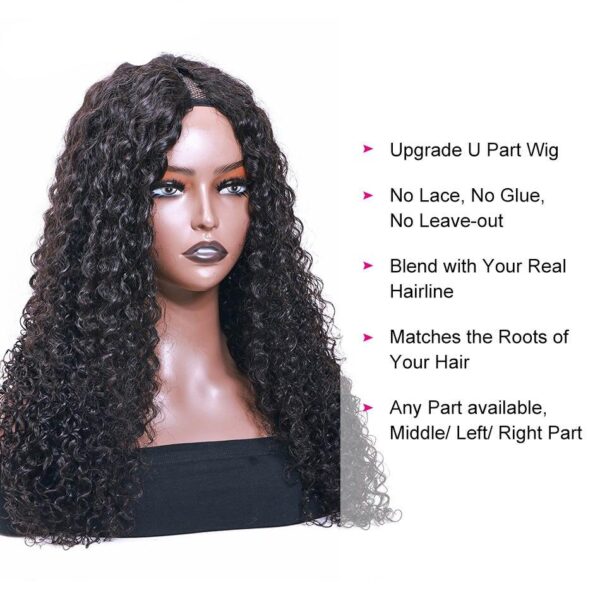 V-Part Human Hair Wig - Image 4