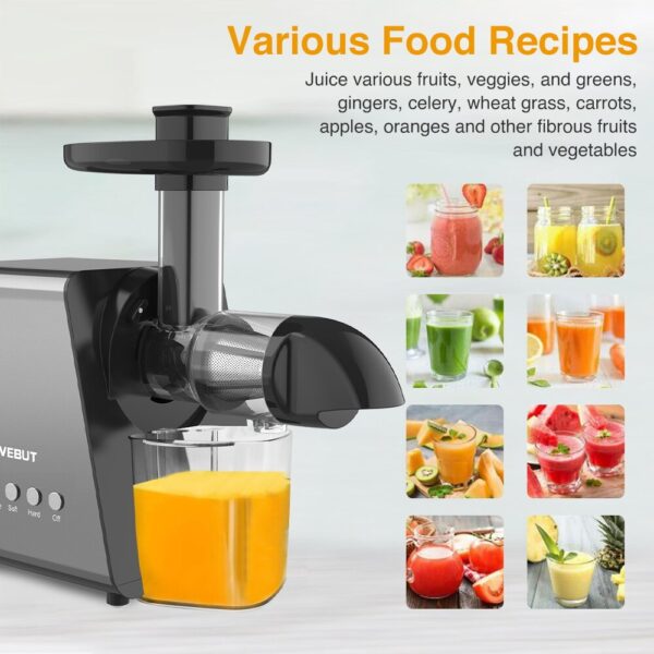 9 Segment 2 Speed Modes Juicer - Image 5