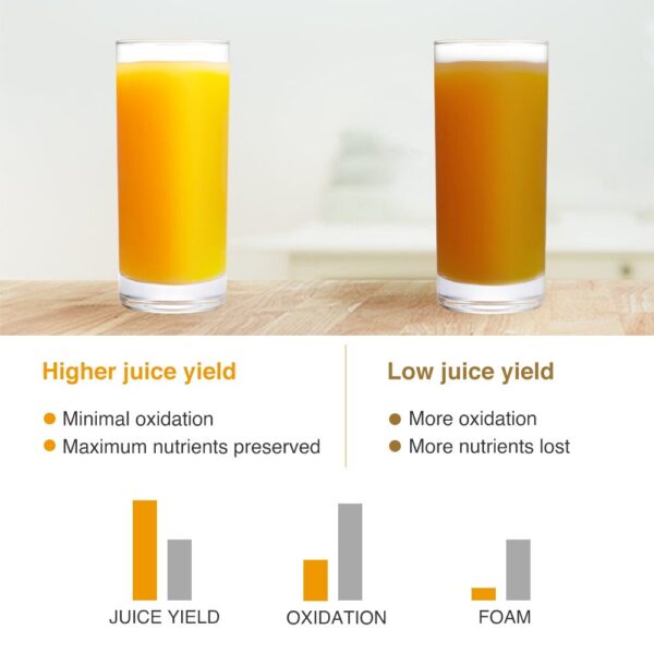 9 Segment 2 Speed Modes Juicer - Image 8