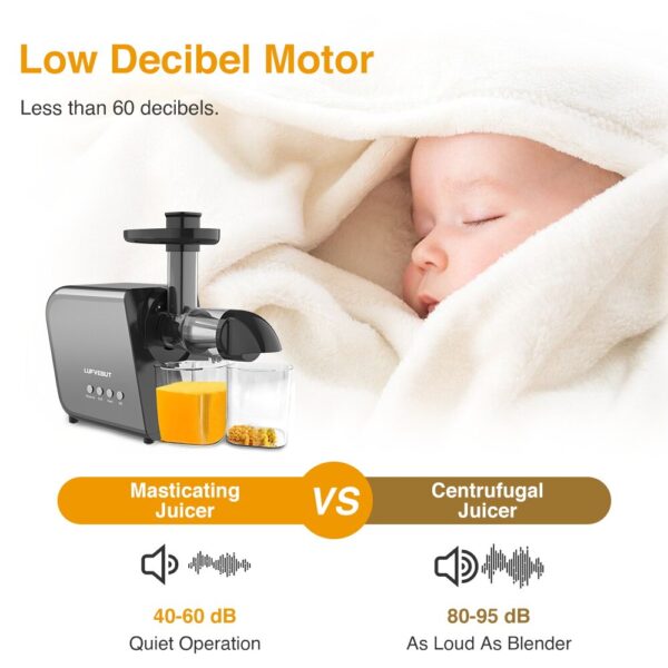 9 Segment 2 Speed Modes Juicer - Image 6