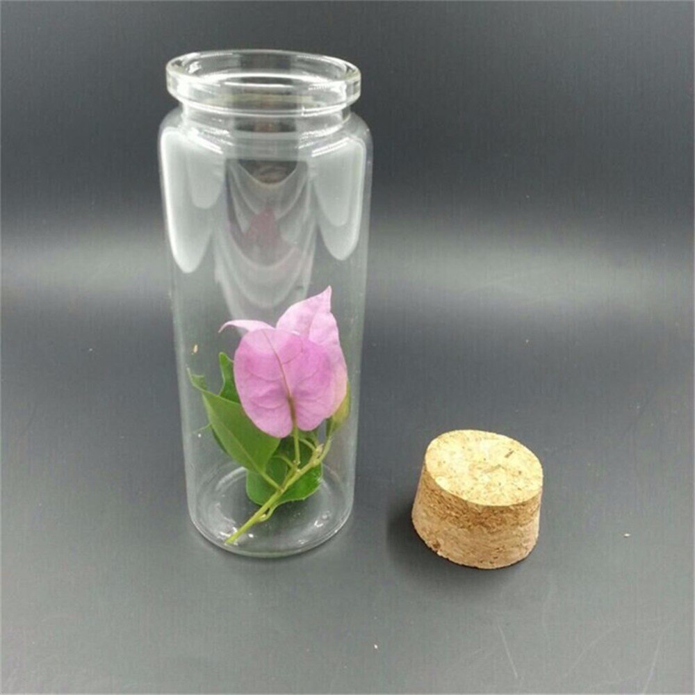 Storage Jar with Cork Lid 48 Pcs Set