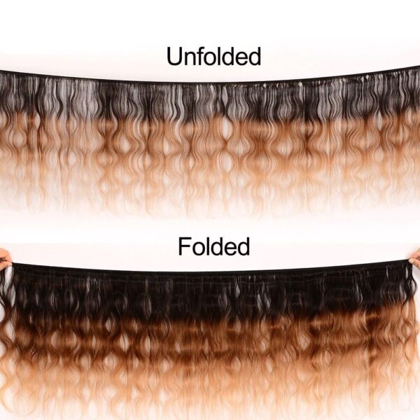 Ombre Human Hair Extension - Image 4