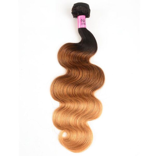 Ombre Human Hair Extension