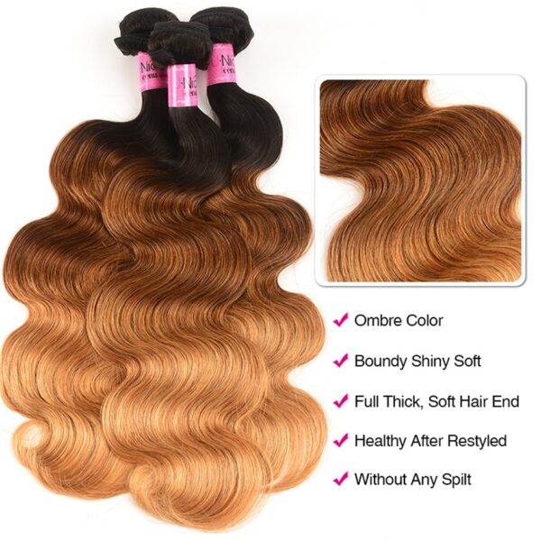 Ombre Human Hair Extension - Image 6