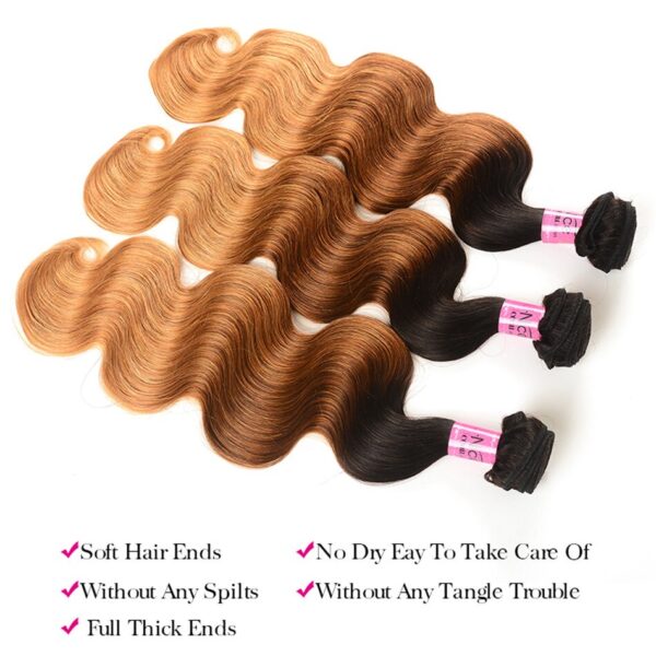 Ombre Human Hair Extension - Image 7