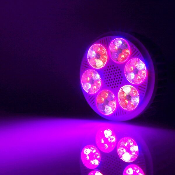 120W LED Grow Light Fito Bulbs - Image 8