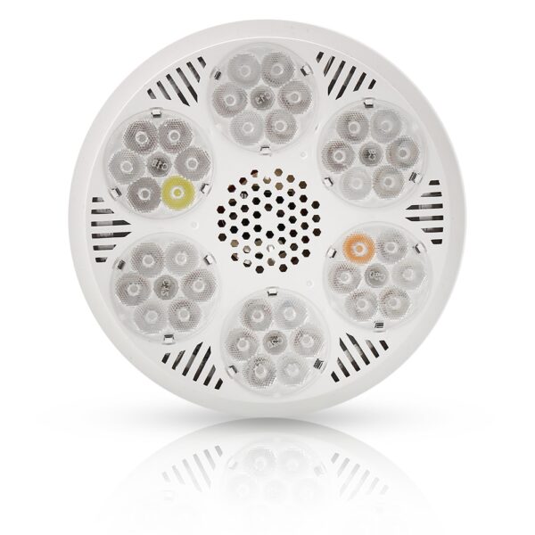 120W LED Grow Light Fito Bulbs - Image 6