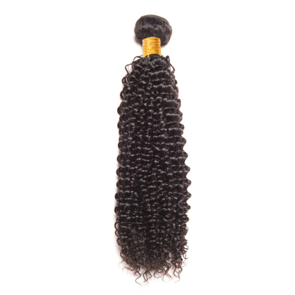 Cute Curly Thick Dark Natural Hair Extension - Image 3