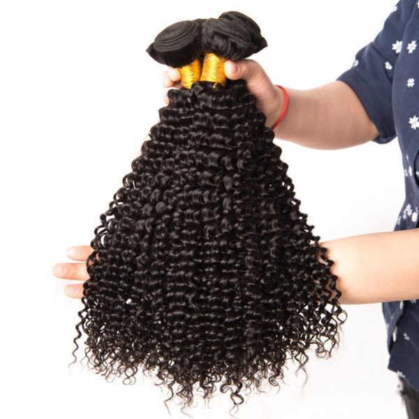 Cute Curly Thick Dark Natural Hair Extension - Image 4