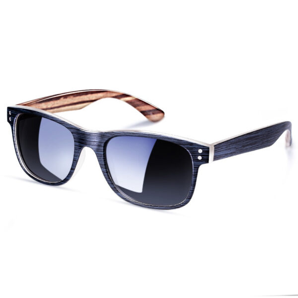 Men's Classic Polarized Sunglasses with Case