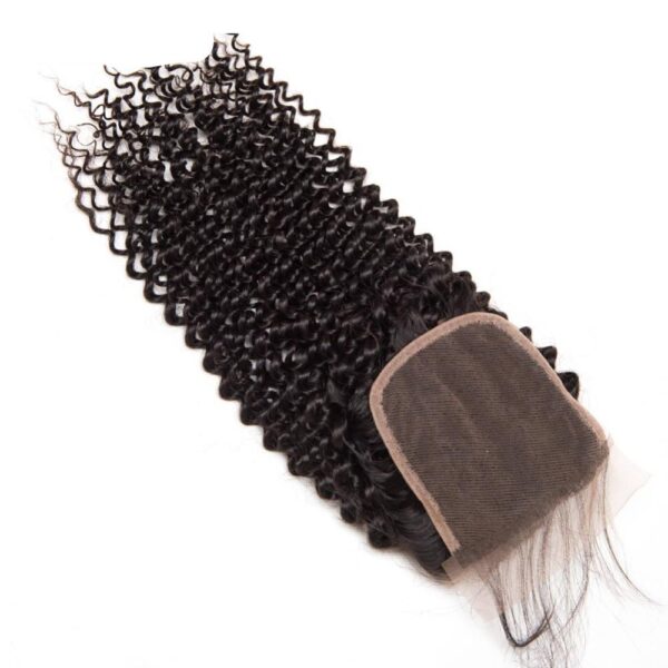 Brazilian Remy Hair Weave with Lace Closure - Image 4