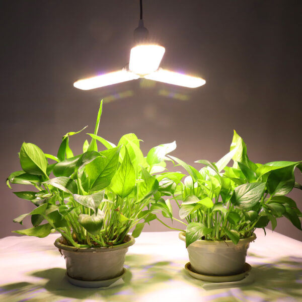 Two 150W LED Full Spectrum Grow Lights - Image 8