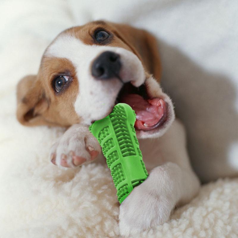 Soft Silicone Bone-Shaped Dog Toothbrush