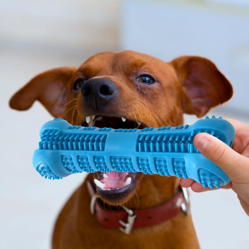 Soft Silicone Bone-Shaped Dog Toothbrush