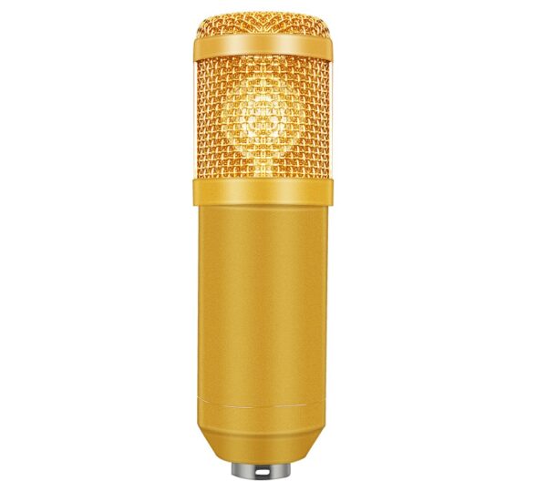 Professional Recording Microphone Set - Image 6