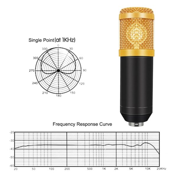 Professional Recording Microphone Set - Image 7