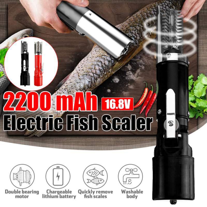 Electric Fish Scaler