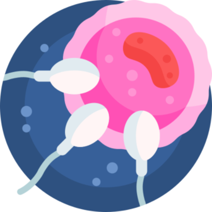 ORAL Fertility Consult
