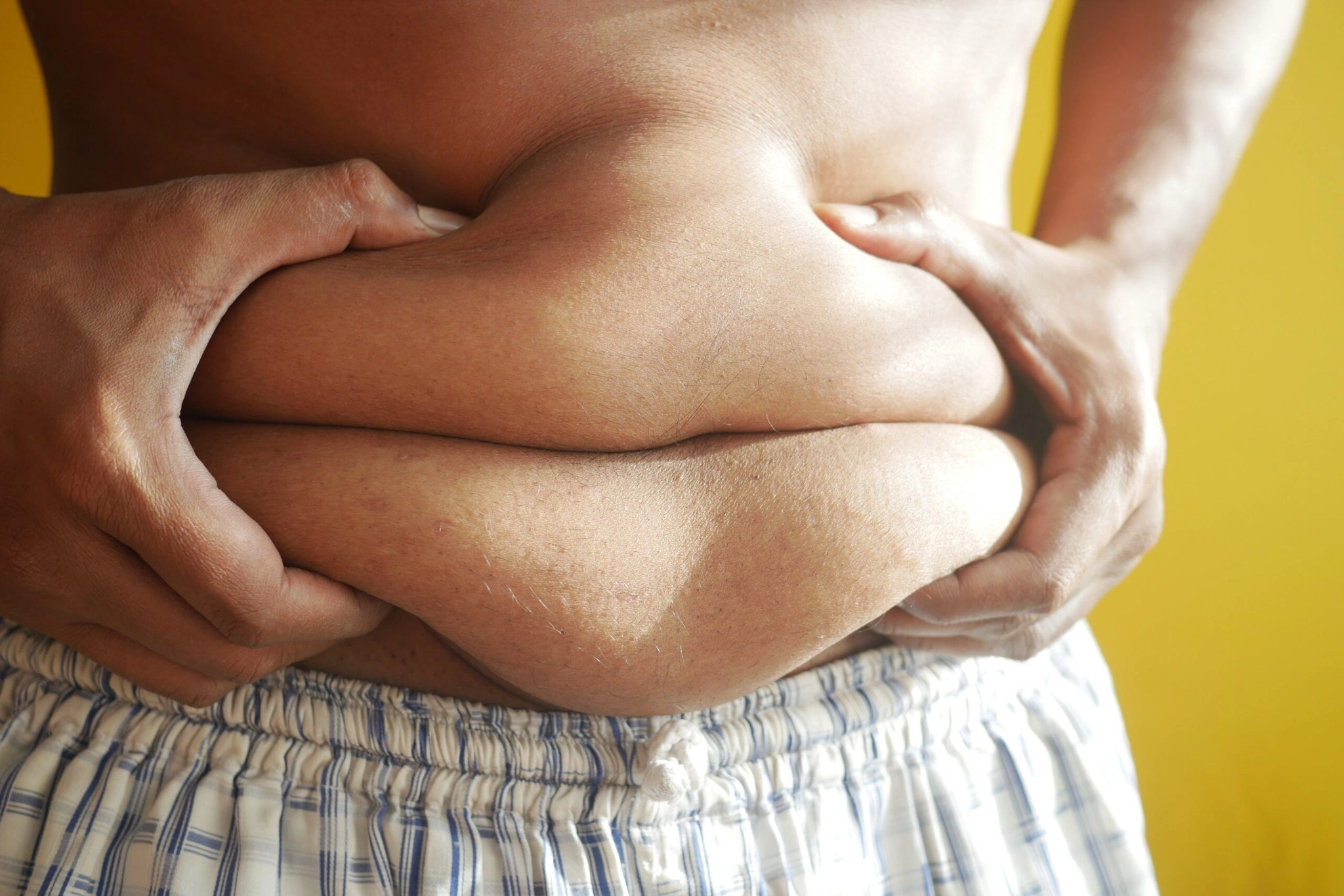 obesity and weight loss pill pals